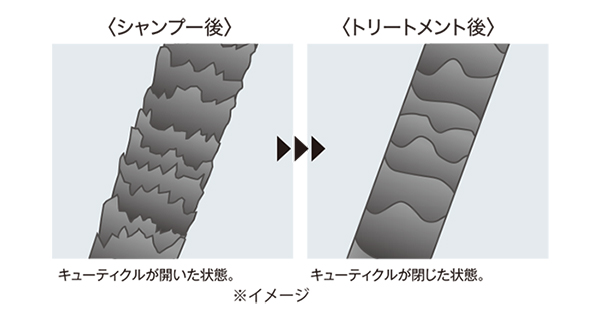 スカルプブラシ